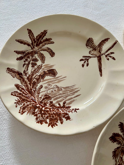 Trio d’assiettes plates - Exotique - Longchamp