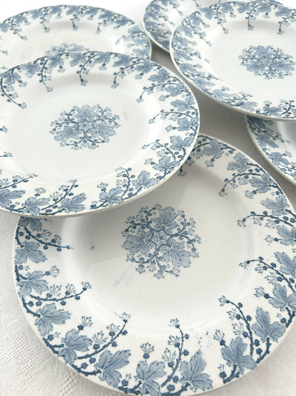 Ensemble de 6 assiettes plates - Néva - Terre de fer - K&G Lunéville - La Brocanterie d'Estelle