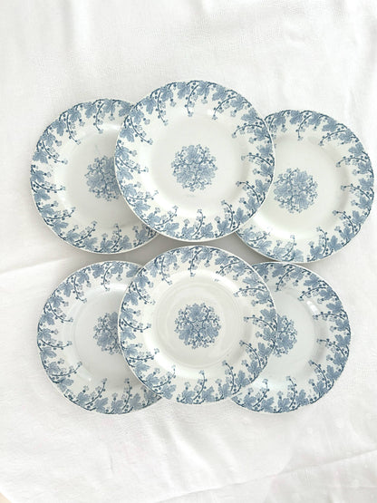 Ensemble de 6 assiettes plates - Néva - Terre de fer - K&G Lunéville - La Brocanterie d'Estelle
