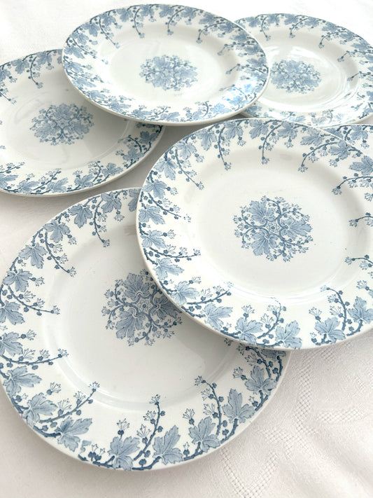 Ensemble de 6 assiettes plates - Néva - Terre de fer - K&G Lunéville - La Brocanterie d'Estelle