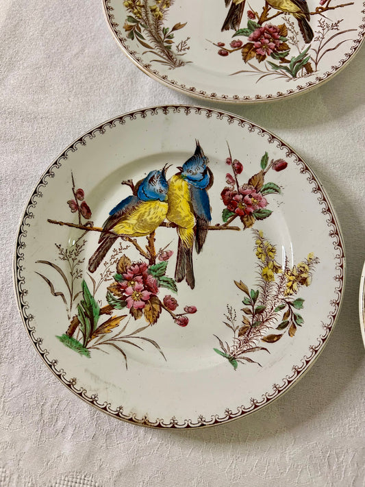 Ensemble de 4 assiettes - Mésange - Lunéville - La Brocanterie d'Estelle