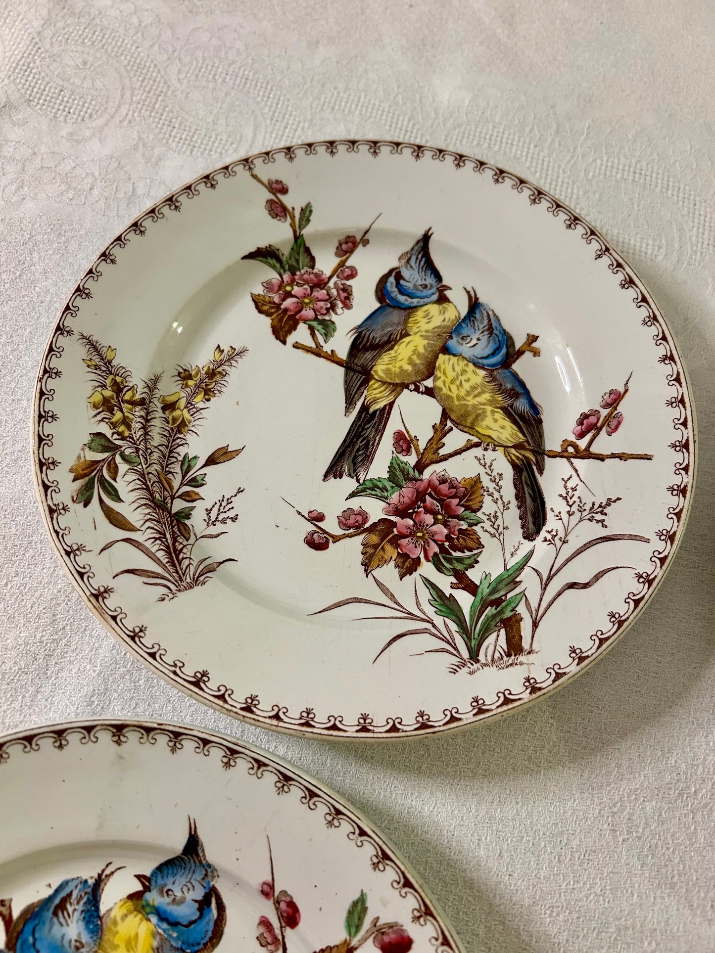 Ensemble de 4 assiettes - Mésange - Lunéville - La Brocanterie d'Estelle