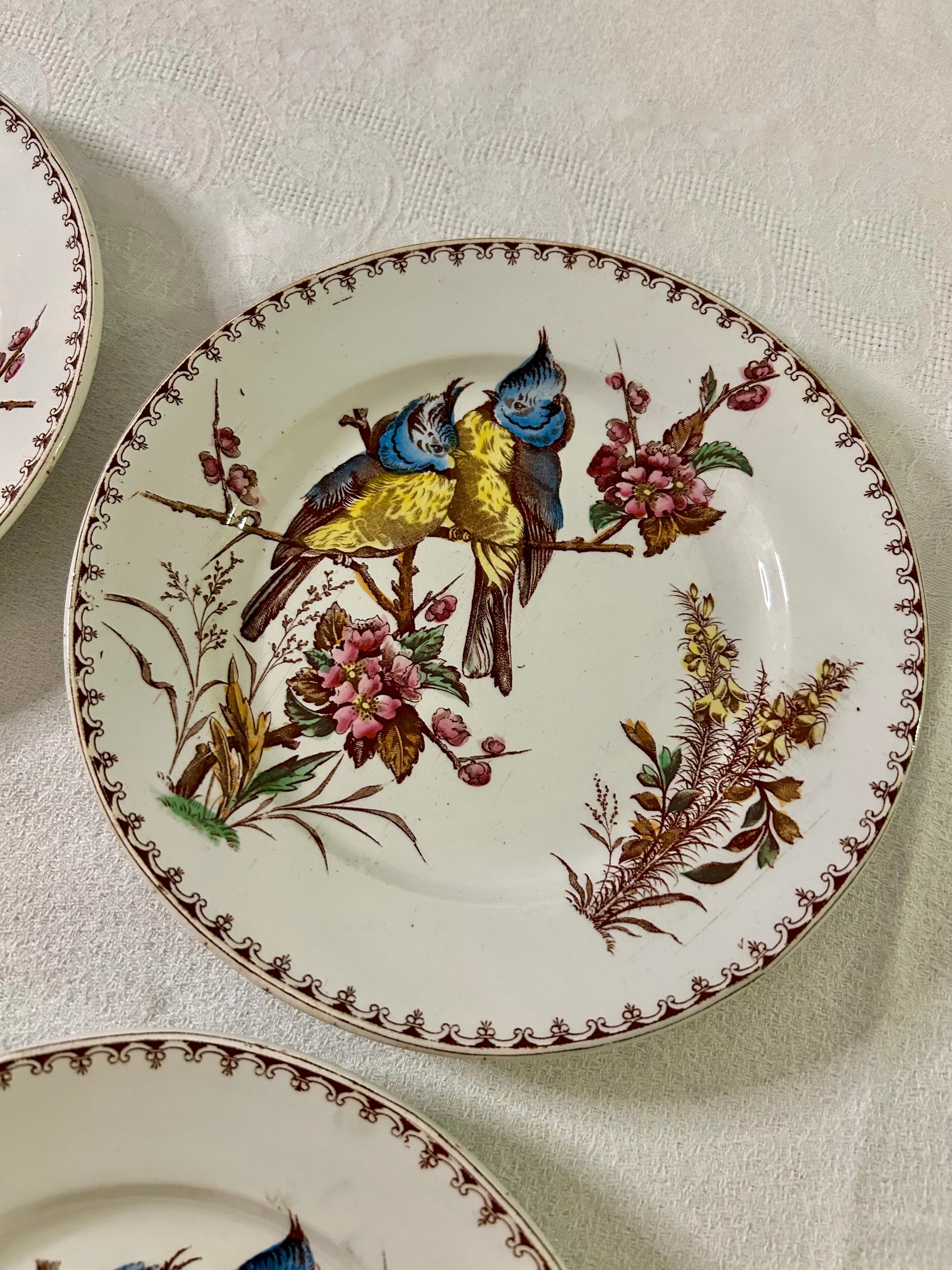 Ensemble de 4 assiettes - Mésange - Lunéville - La Brocanterie d'Estelle