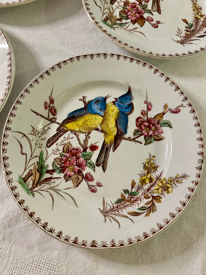 Ensemble de 4 assiettes - Mésange - Lunéville - La Brocanterie d'Estelle