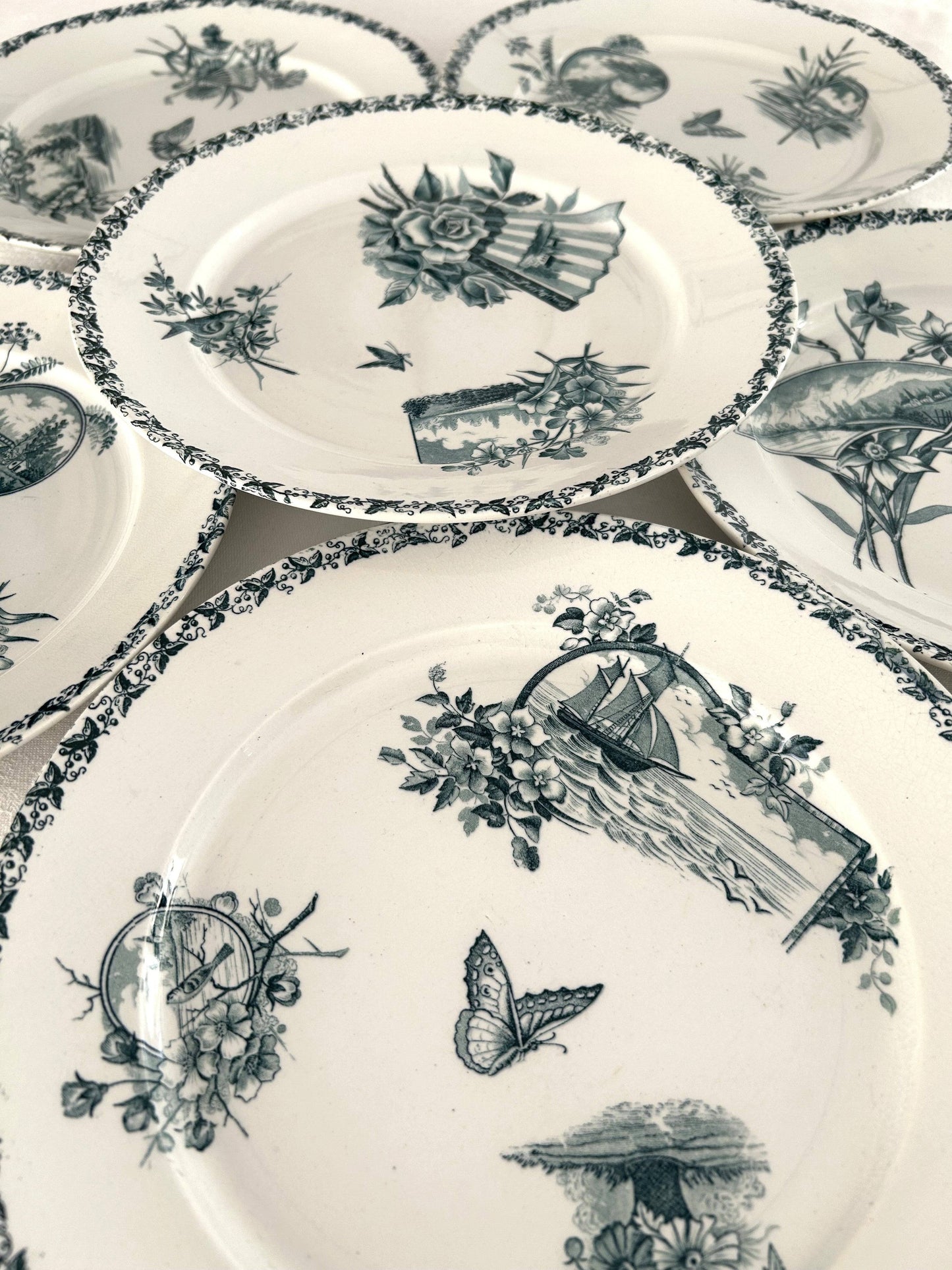 Ensemble de 6 assiettes plates - Écran - Badonviller - La Brocanterie d'Estelle
