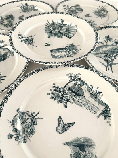Ensemble de 6 assiettes plates - Écran - Badonviller - La Brocanterie d'Estelle