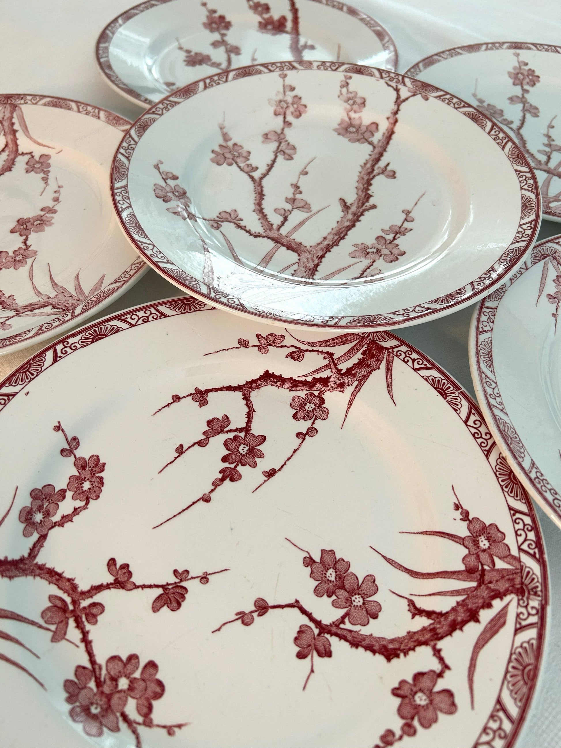 Ensemble de 6 assiettes plates - Aubépine - Longwy - La Brocanterie d'Estelle