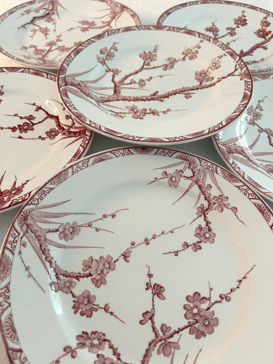 Ensemble de 6 assiettes plates - Aubépine - Longwy - La Brocanterie d'Estelle