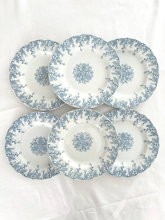Ensemble de 6 assiettes plates - Néva - Terre de fer - K&G Lunéville - La Brocanterie d'Estelle