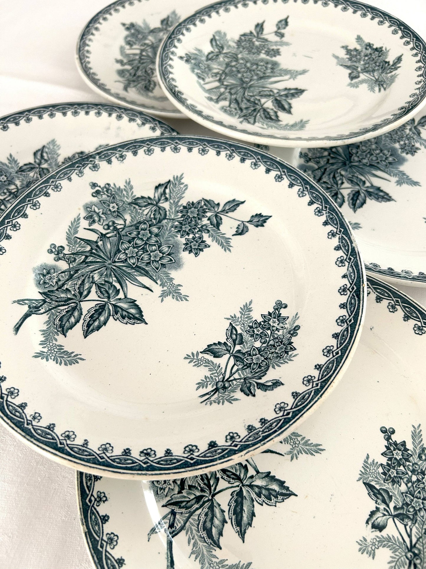 Ensemble de 6 assiettes plates - Margot - Terre de fer - St Amandinoise - La Brocanterie d'Estelle
