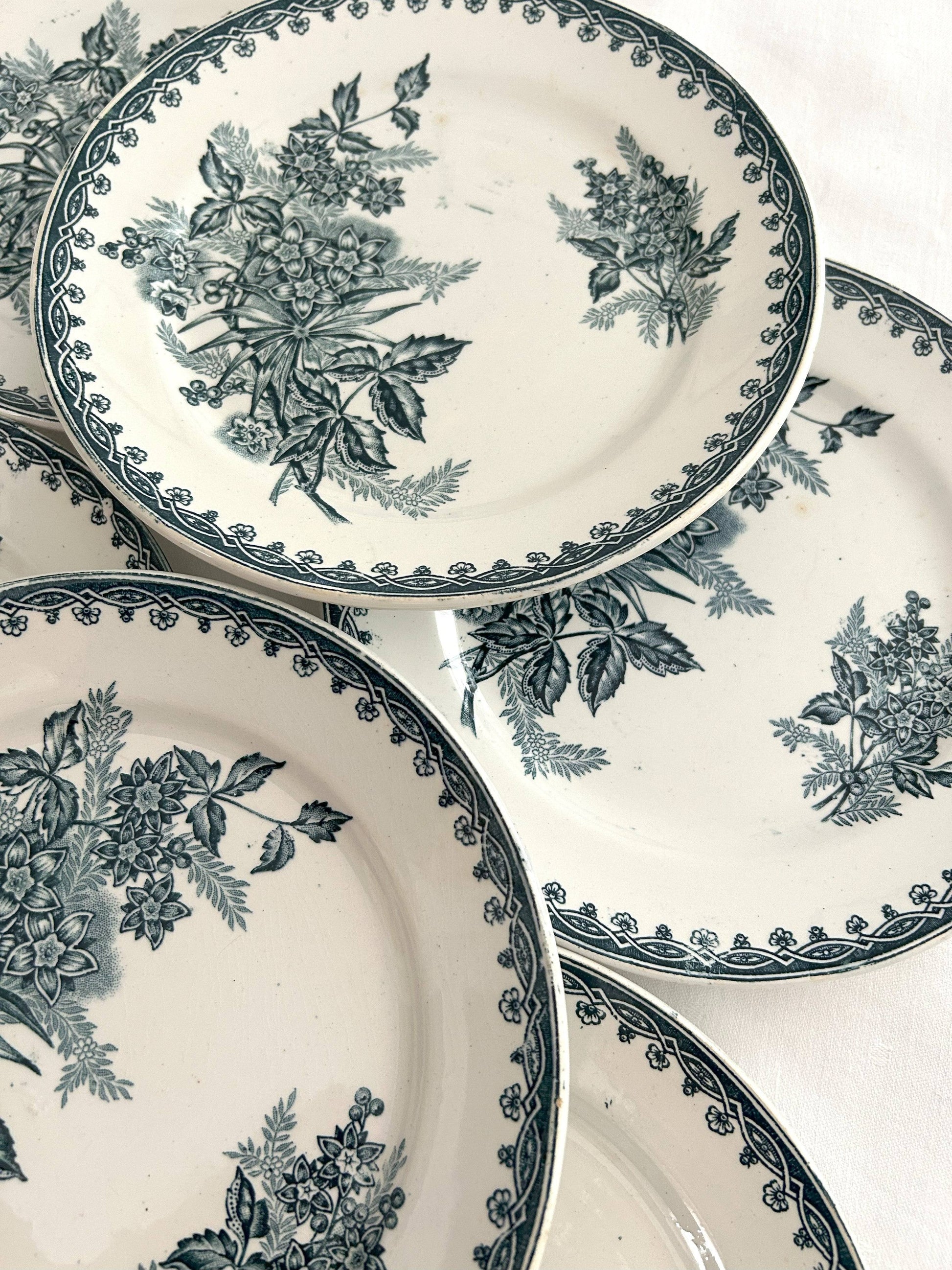 Ensemble de 6 assiettes plates - Margot - Terre de fer - St Amandinoise - La Brocanterie d'Estelle