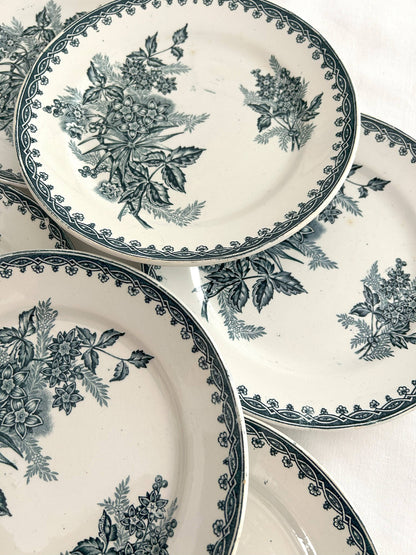 Ensemble de 6 assiettes plates - Margot - Terre de fer - St Amandinoise - La Brocanterie d'Estelle