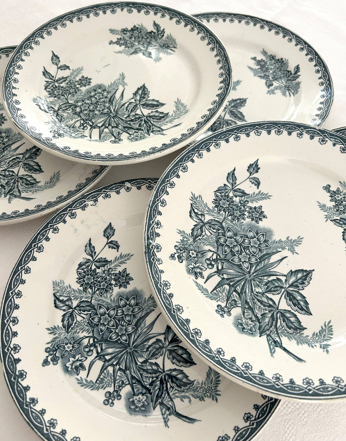 Ensemble de 6 assiettes plates - Margot - Terre de fer - St Amandinoise - La Brocanterie d'Estelle