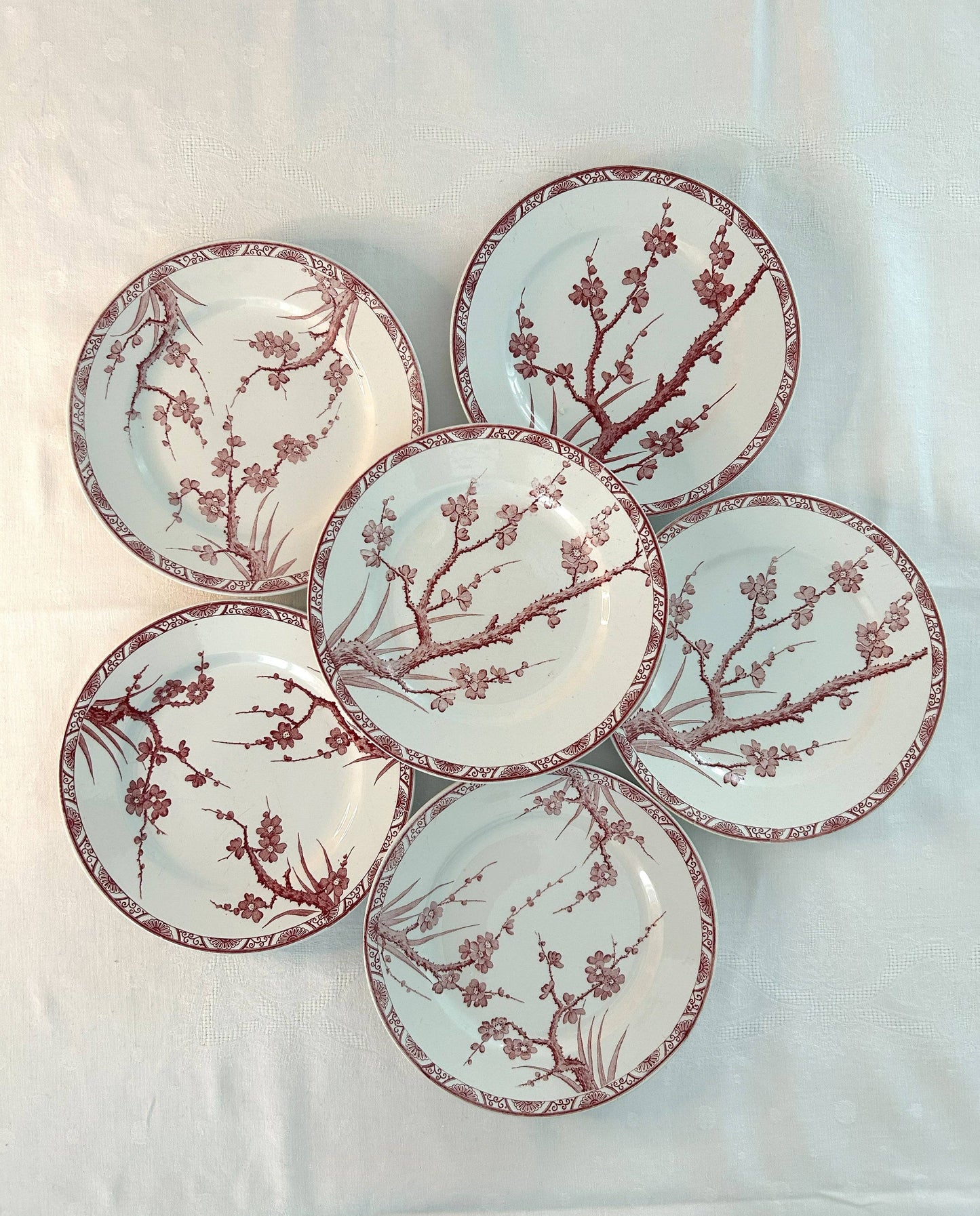Ensemble de 6 assiettes plates - Aubépine - Longwy - La Brocanterie d'Estelle