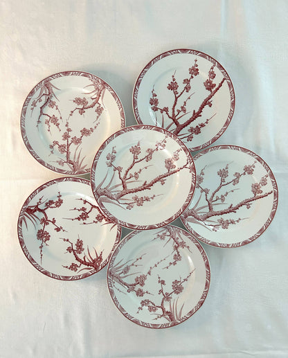 Ensemble de 6 assiettes plates - Aubépine - Longwy - La Brocanterie d'Estelle