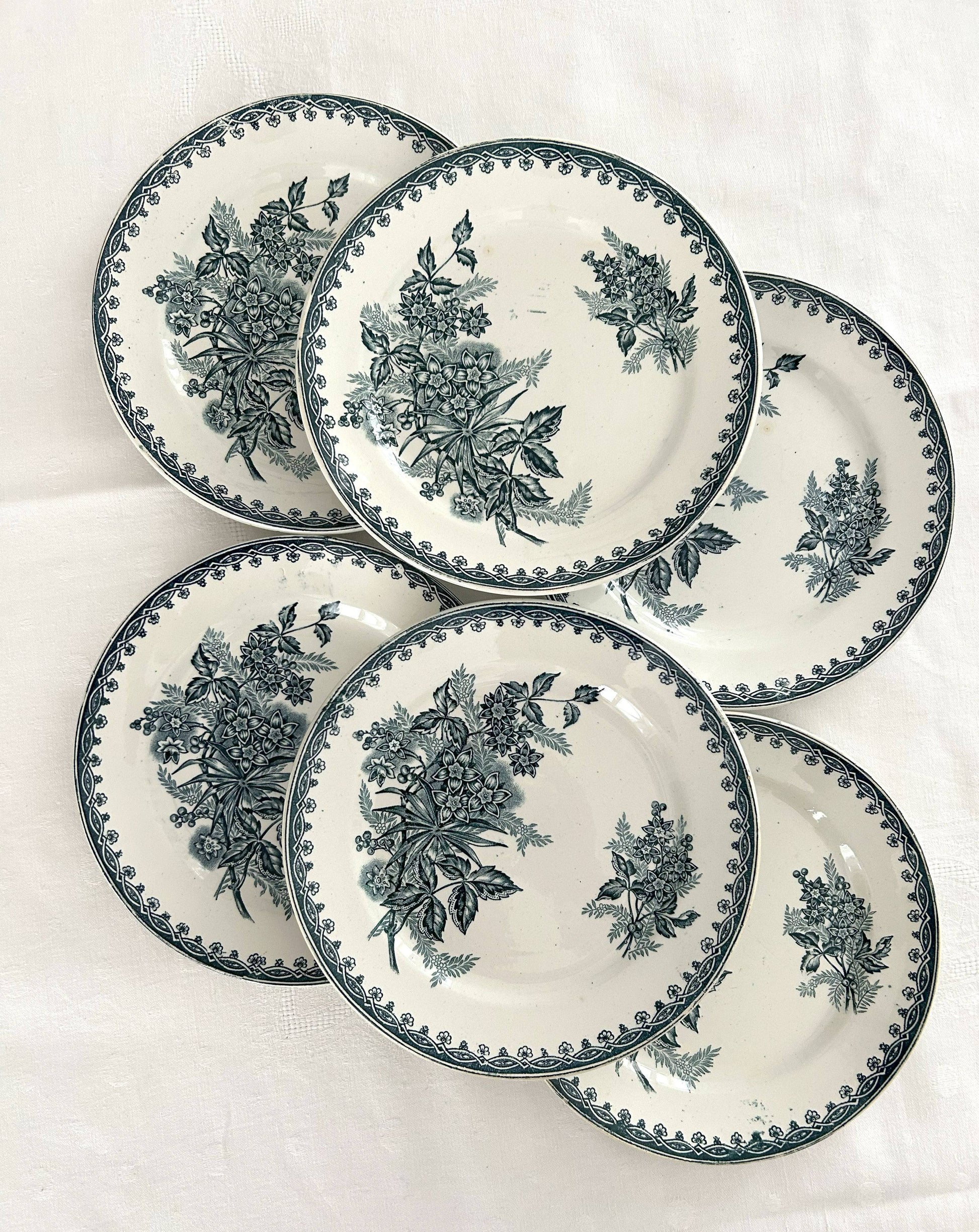 Ensemble de 6 assiettes plates - Margot - Terre de fer - St Amandinoise - La Brocanterie d'Estelle
