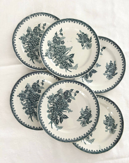 Ensemble de 6 assiettes plates - Margot - Terre de fer - St Amandinoise - La Brocanterie d'Estelle